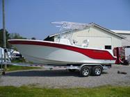 Sea Fox 226CC